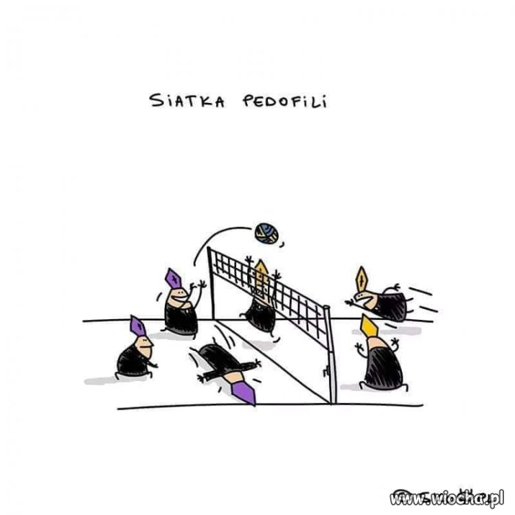 Ulubiony sport
