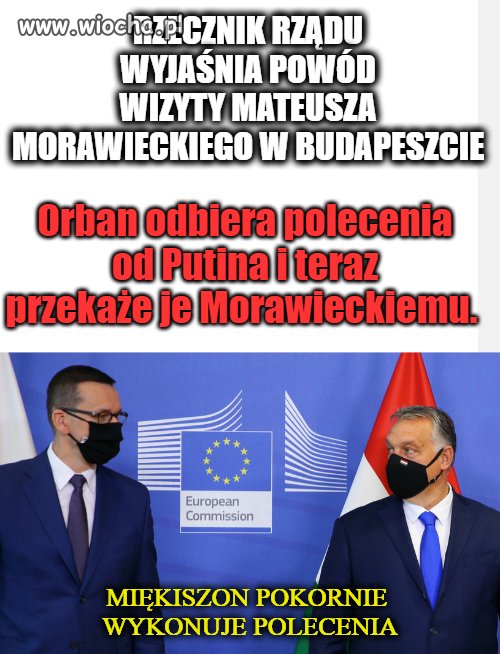 Miękiszon 