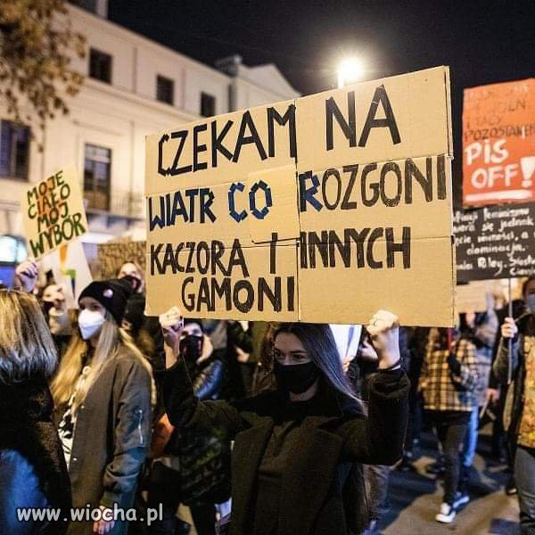 Brawo Ty!