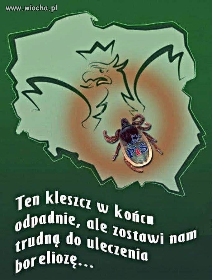 PiS prędzej czy później upadnie