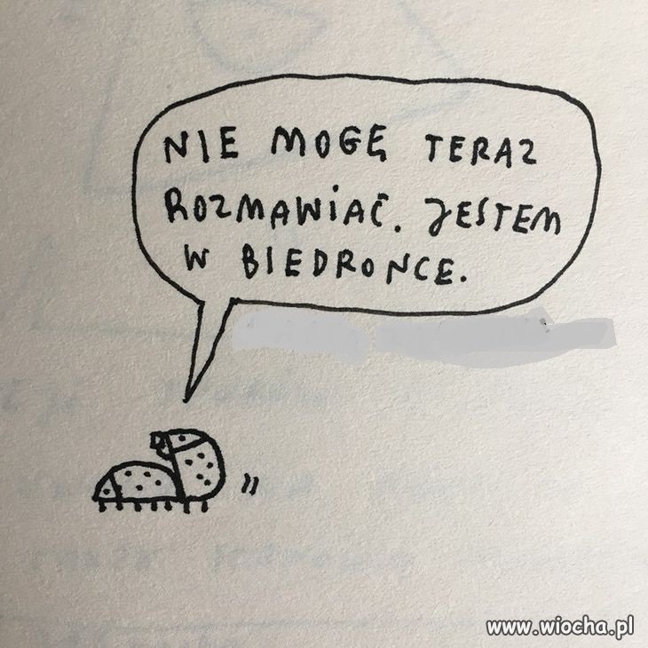 Coś w tym jest