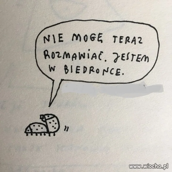 Coś w tym jest
