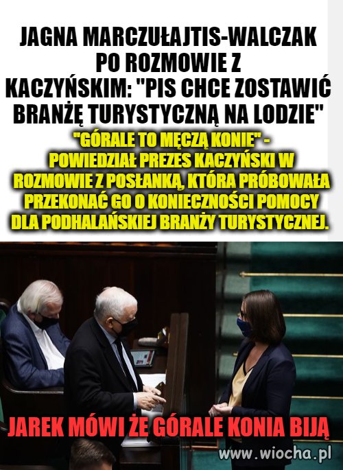Ochrona zwierząt 