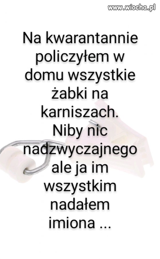 Kwarantanna