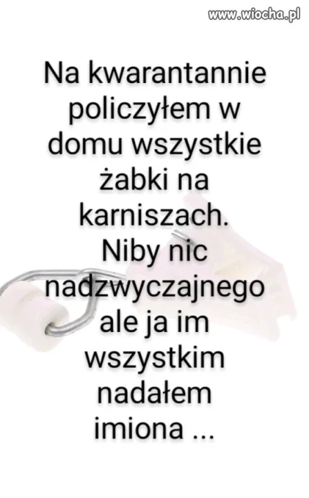 Kwarantanna