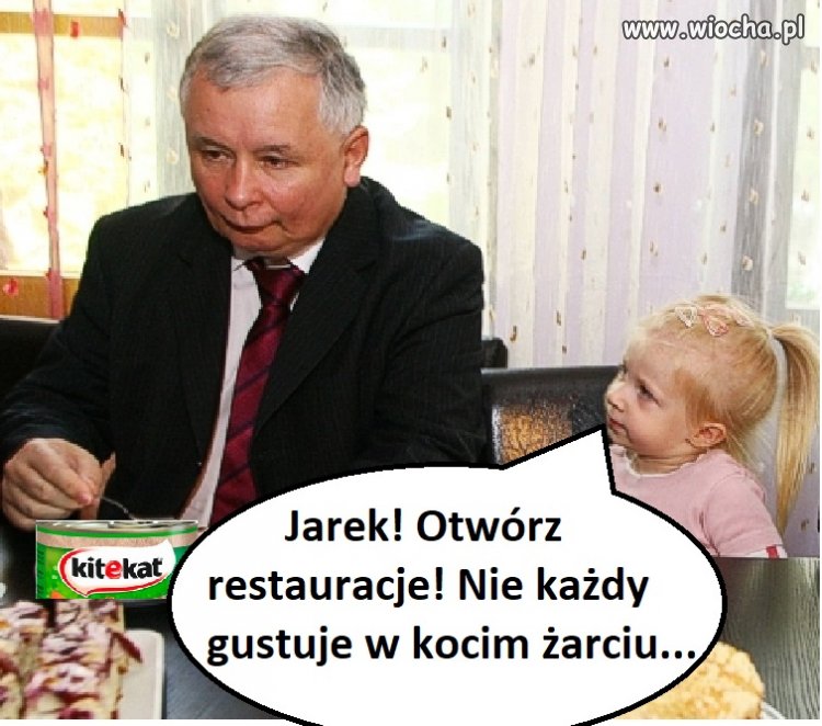 Na kocim żarciu długo naród nie pociągnie