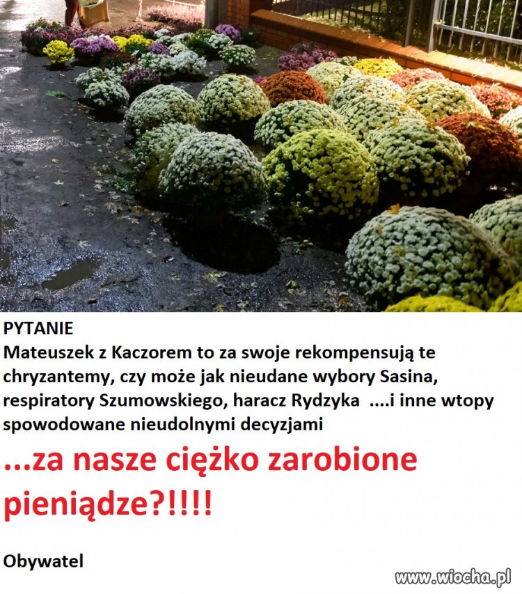 Proste pytanie