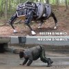 Technologia 
