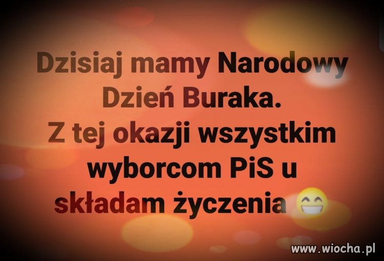 Najserdeczniejsze życzenia ...