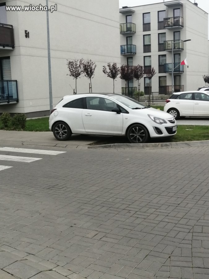 Ameba na parkingu
