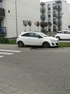 Ameba na parkingu