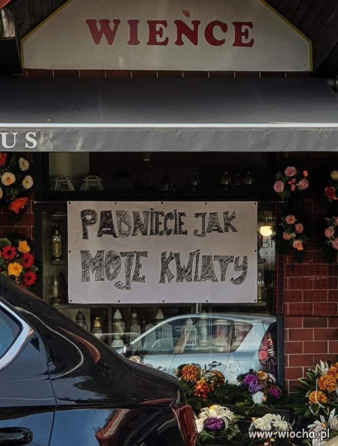Coś dla... 