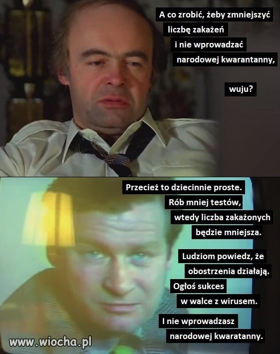 Wuju poradź