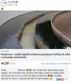 Pigułki - balon próbny