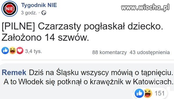 Czarzasty