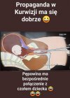 Takie rzeczy tylko w TVP
