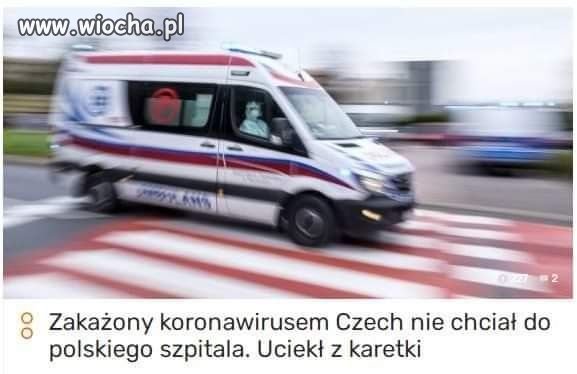 Przewidujący