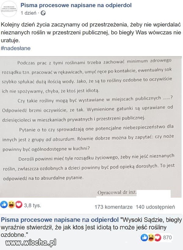 Zdrowy rozsądek a opinia biegłego