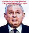 Sylwester u Kaczora.
