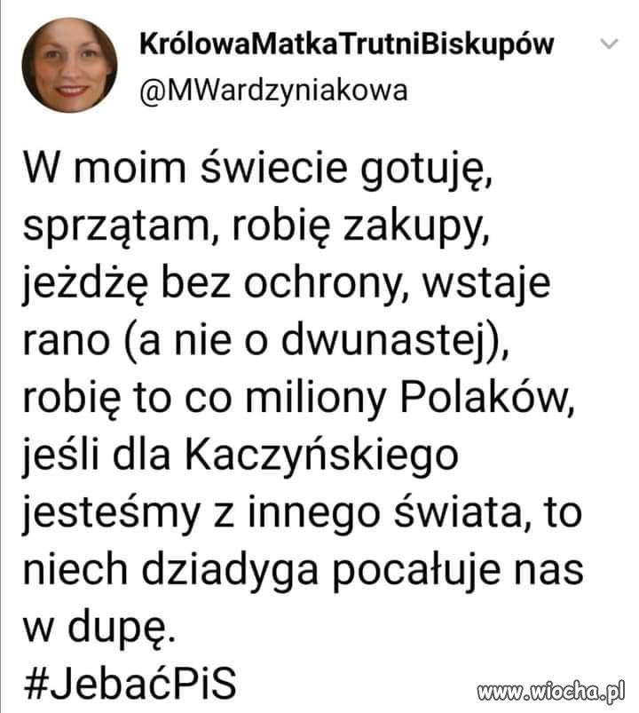 Niech pocałuje 