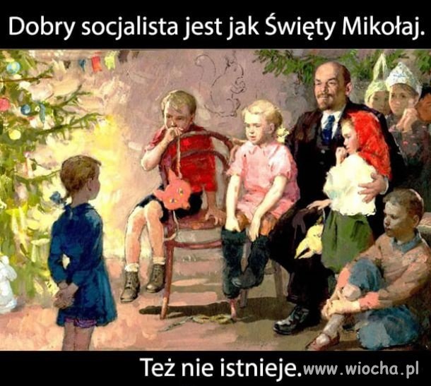 Socjalista