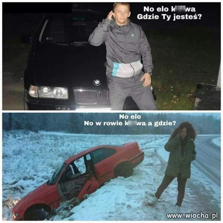 Elo ziom