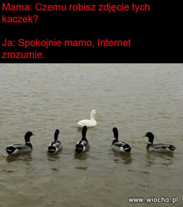 Nie jestem rasistą 