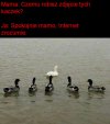 Nie jestem rasistą 