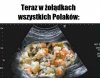 U przeciętnego rodaka 