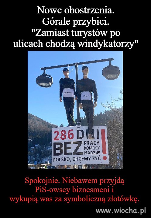 PiS biznesmeni 