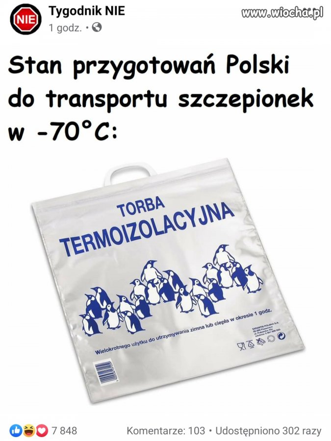 Dostawcą będzie zapewne instruktor narciarstwa