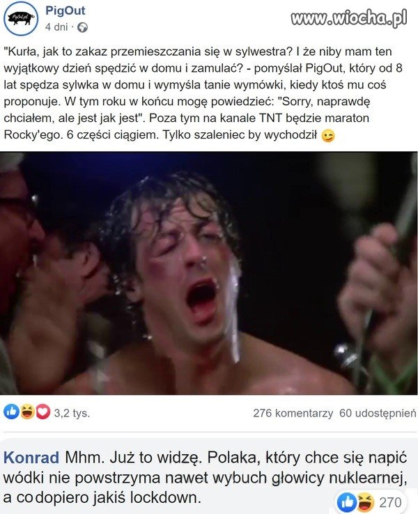 Polak potrafi