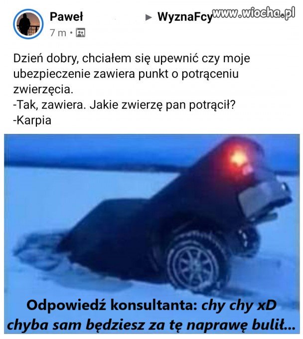 Ubezpieczonko