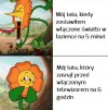 To tylko życie 