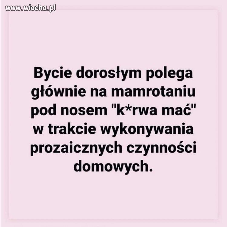 Dobrego dnia...