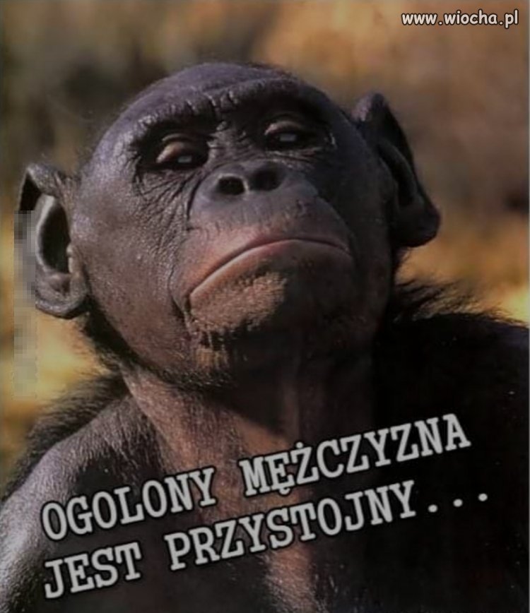Naczelny Jarosław 