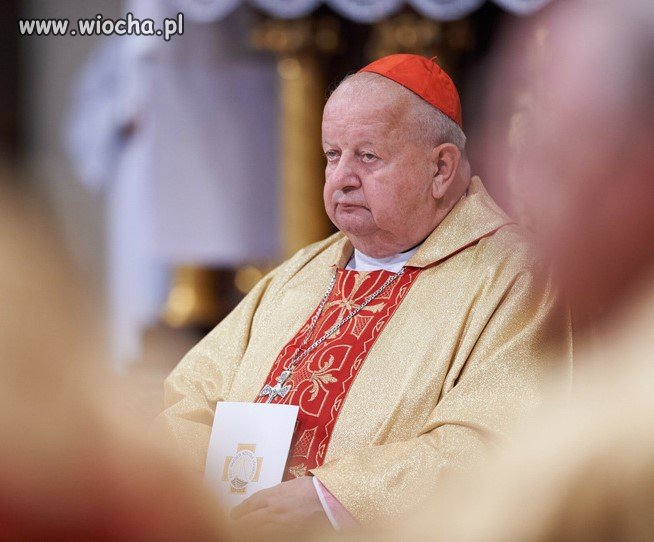 Dziwisz: Przebaczam mojej ojczyżnie 