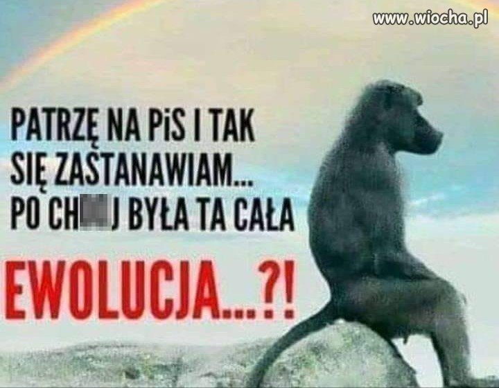 Ewolucja