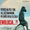 Ewolucja