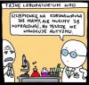Tytuł zbędny