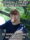 Są pierwsze ofiary