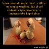 Szopka wigilijna...