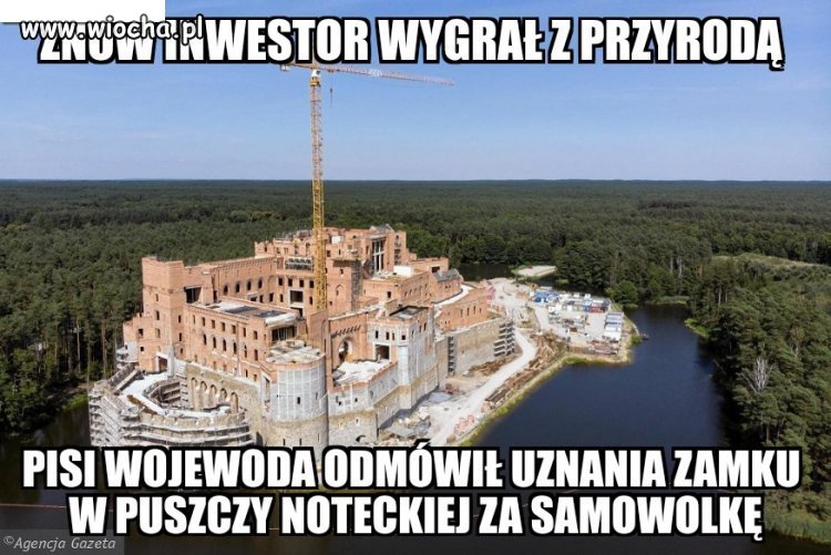 Ceglana kupa g..na będzie dalej niszczyła puszczę