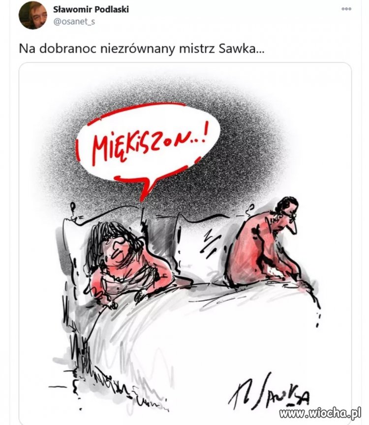 Miękiszon