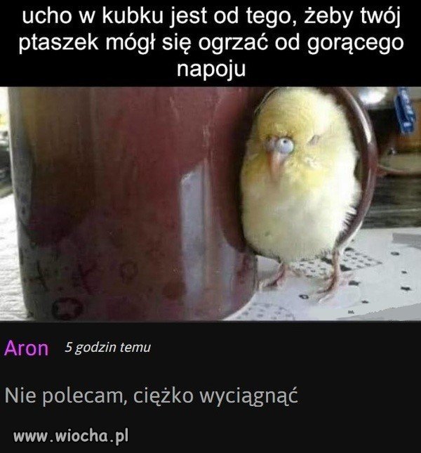 Ucho od kubka   