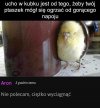 Ucho od kubka   