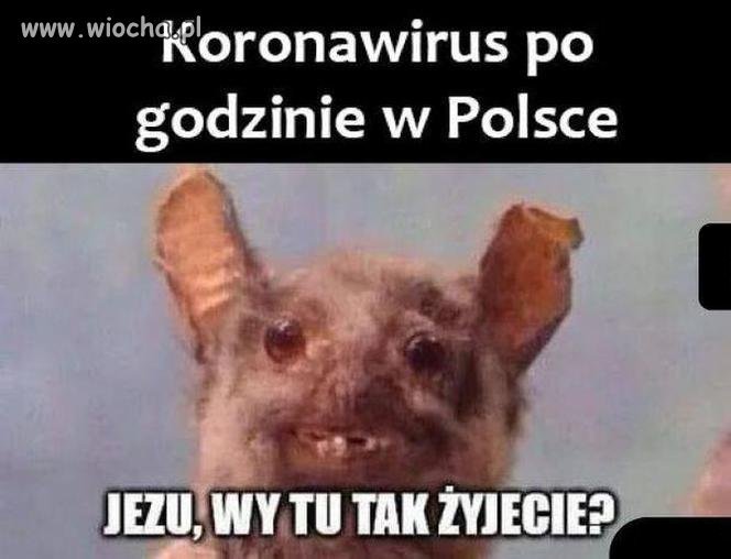 Jeszcze dajemy radę 