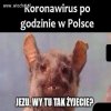 Jeszcze dajemy radę 