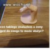 Do czego to może służyć?