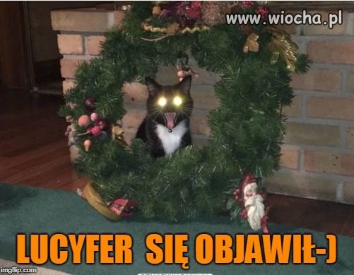 Wesołych Świąt